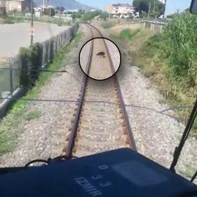 Makinistlerden örnek davranış