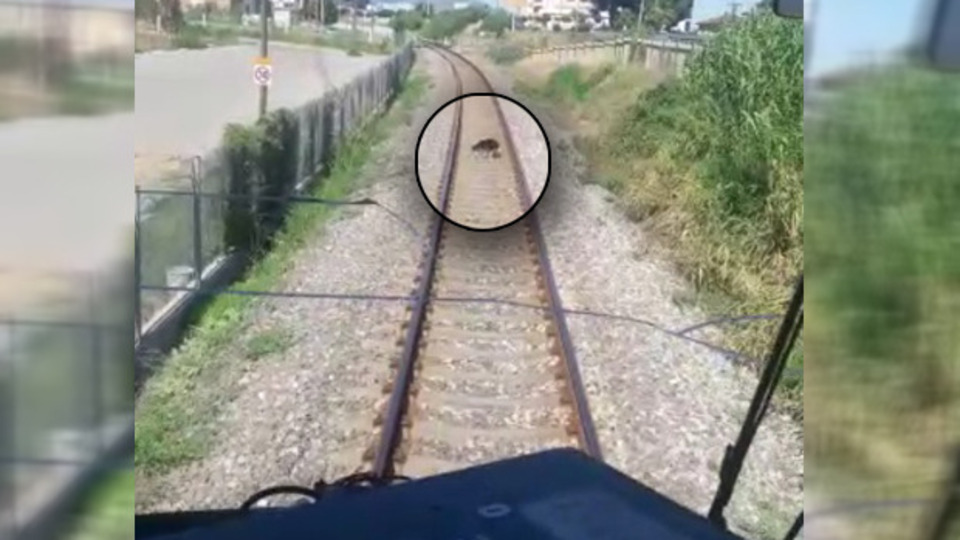 Makinistlerden örnek davranış