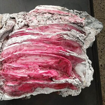 Yüzerken kayaların arasında bulmuştu! Sırrı çözüldü