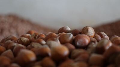 Fındıkta 5 milyar dolarlık ihracat hedefi