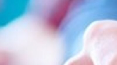 AÖL sınav giriş yerleri 2019!