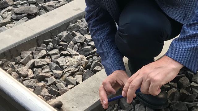 32 binden fazla hayvan demir yolu kazalarında öldü