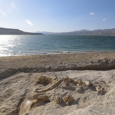 Baraj gölü kıyısında ortaya çıktı