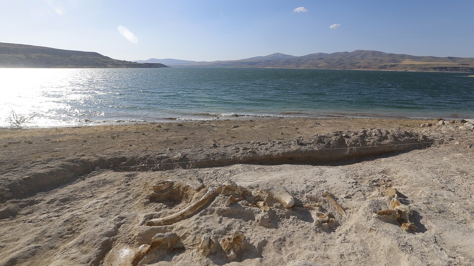 Baraj gölü kıyısında ortaya çıktı