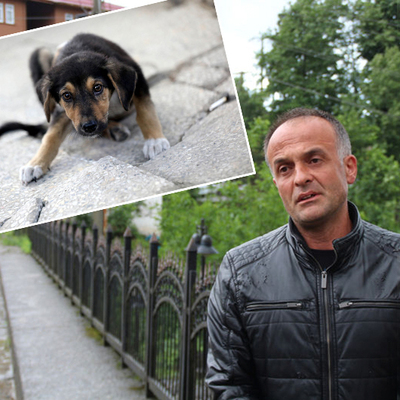 Çok tepki çekmişti, cezası belli oldu!