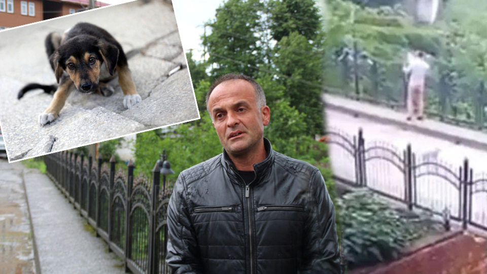 Çok tepki çekmişti, cezası belli oldu!