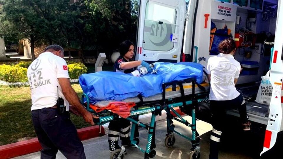 Arıların soktuğu kadın öldü