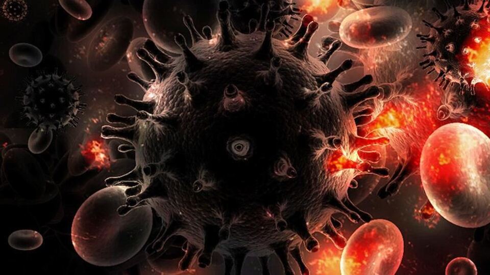 HIV/AIDS eğitim müfredatına giriyor!