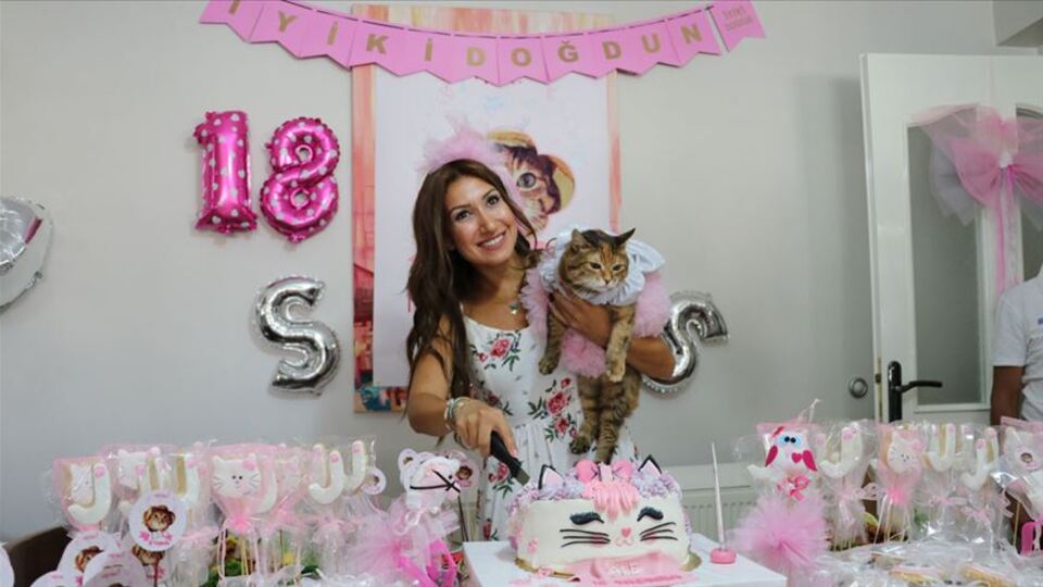 Kedi Jale'ye 18. yaş günü partisi