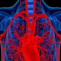 Aort anevrizması nedir?