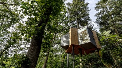 Ağacın üstüne otel yaptılar!