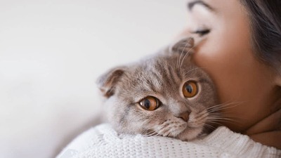 Toksoplazma paraziti nedir?