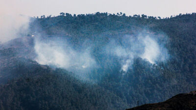 Suriye sınırında orman yangını