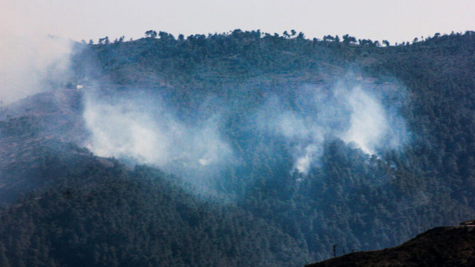 Suriye sınırında orman yangını