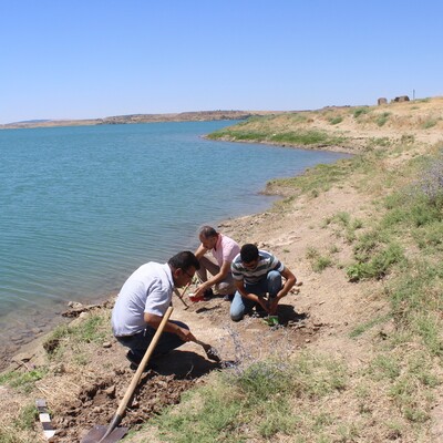 Dalgalar toprağı aşındırınca ortaya çıktı