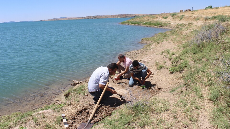 Dalgalar toprağı aşındırınca ortaya çıktı