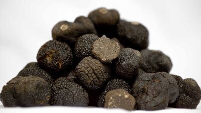 Trüf mantarı nedir?