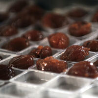 Konkordato talep eden Kafkas'tan açıklama