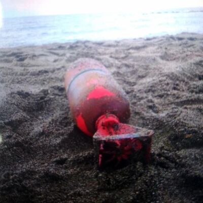 Karasu Plajı'na girişler yasaklandı