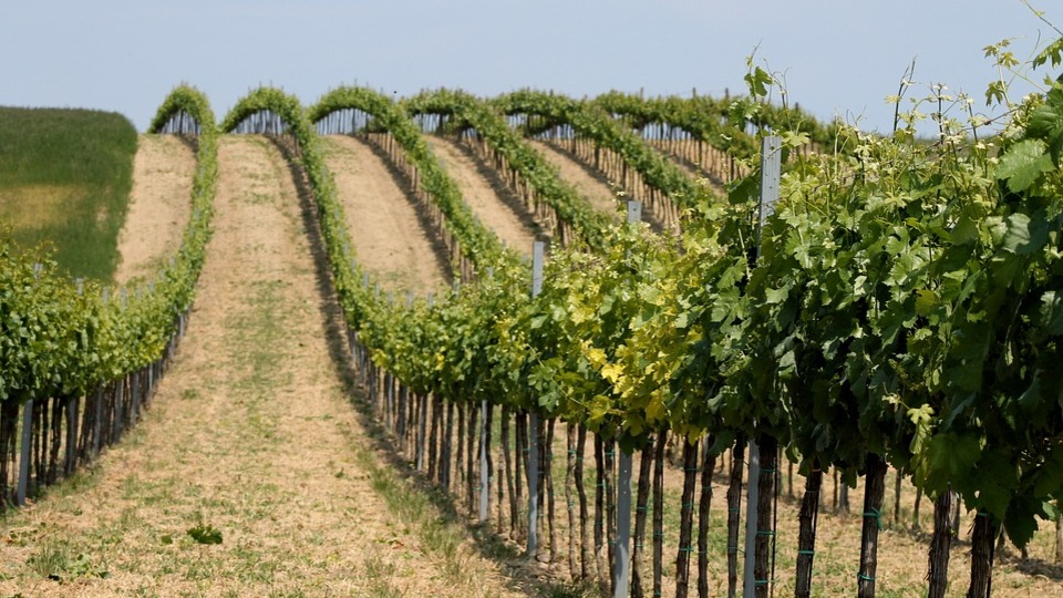 En hızlıları 'topraktan' geldi