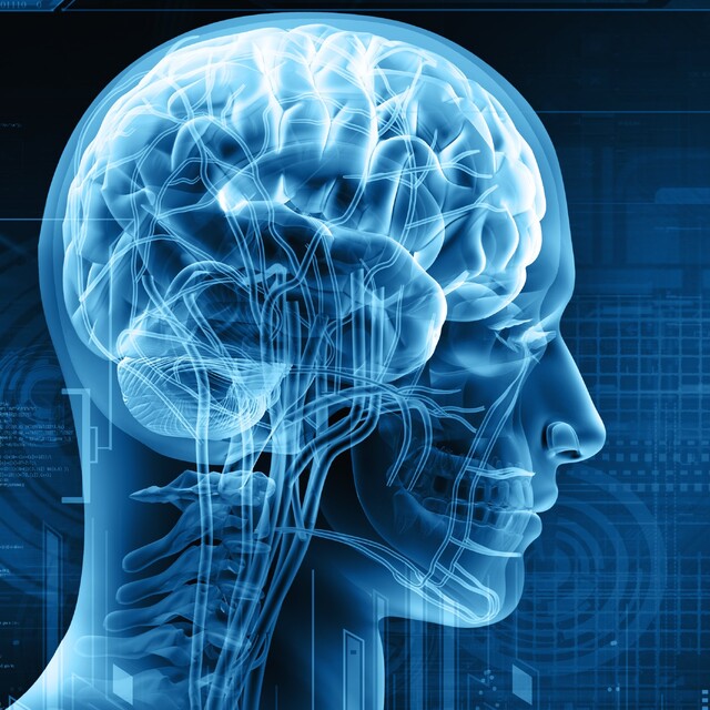 MS hastalığı nedir? MS hastalığının tedavisi var mı?