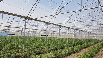 Seraların ruhsat sorununa çözüm