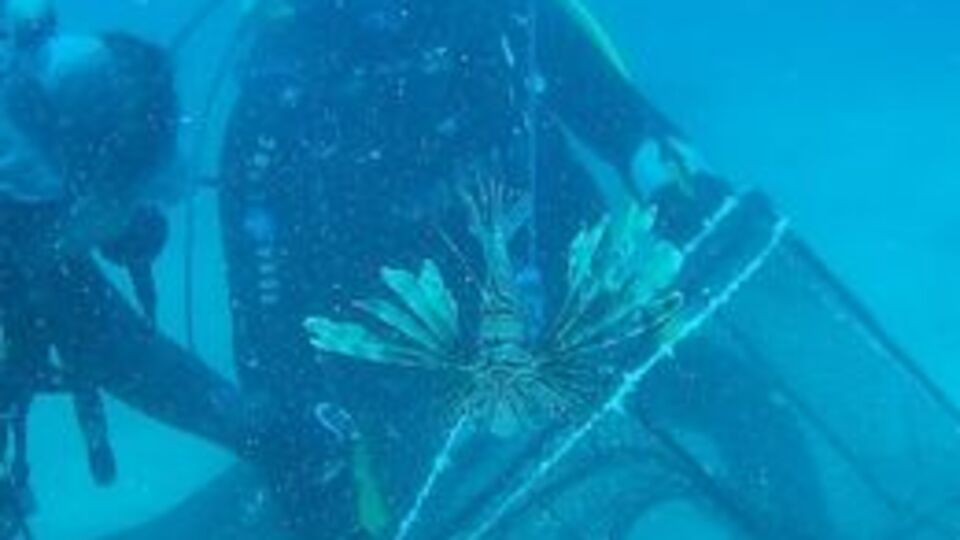 Bitkileri incelerken fark ettiler!