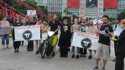 Atlı faytonculara protesto