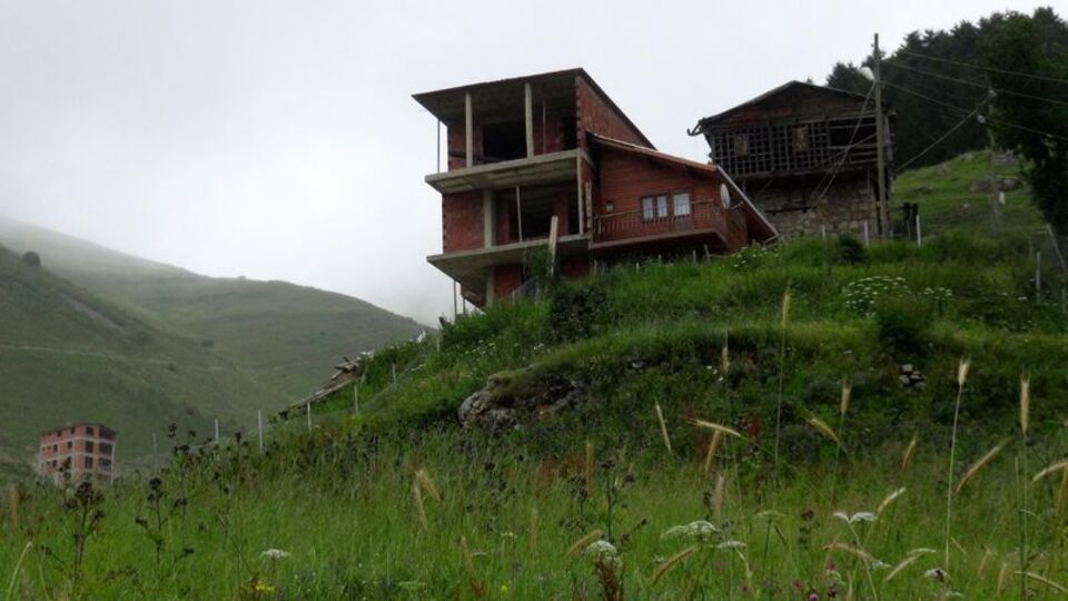 Kardeşlerin inadı böyle sonuçlandı