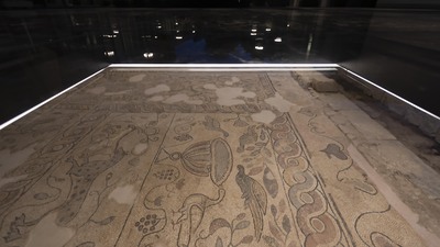 'Müze Hastane'den sonra tele-tıp