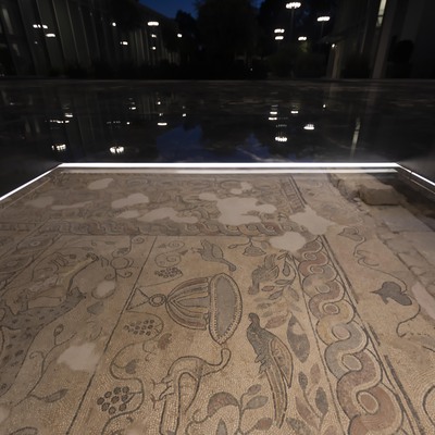 'Müze Hastane'den sonra tele-tıp