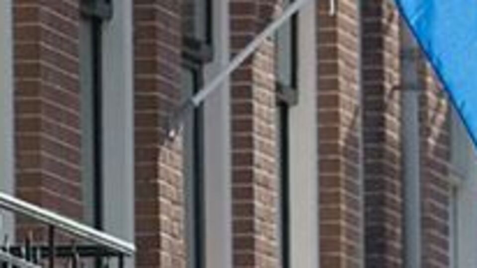 Hollanda: 'Devlet sırları' çıkarılsın!