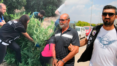 Portakal bahçesinde Hint keneviri ele geçirildi! Kendini böyle savundu