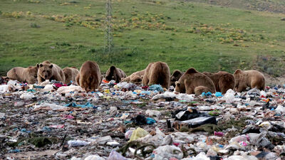 Toplu halde görüntülendi!