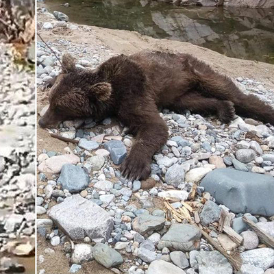 Görüldüğüne pişman ettiler!