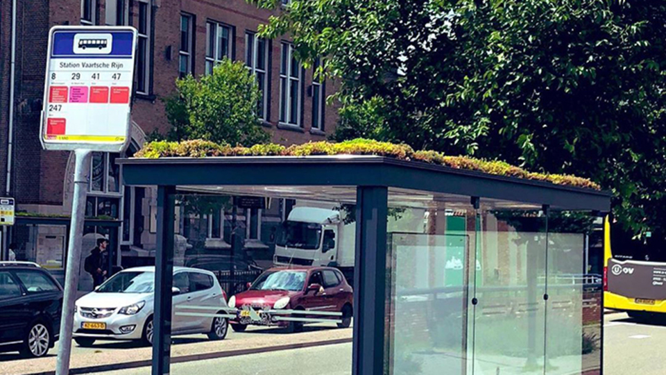 Yok olma tehlikesine karşı yaptılar!