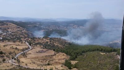 Muğla'da orman yangını