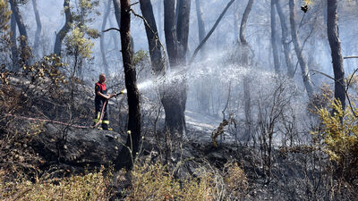 Bodrum'da korkutan orman yangını