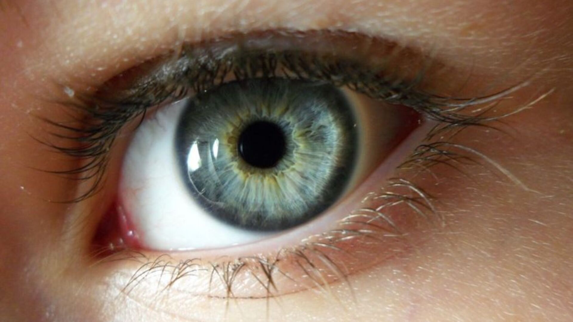 Красивые зеленые глаза. Глаза которые не. Глаз человека. Здоровые глаза. Глаза которые не.