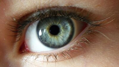 Göz tansiyonu (Glokom) nedir?