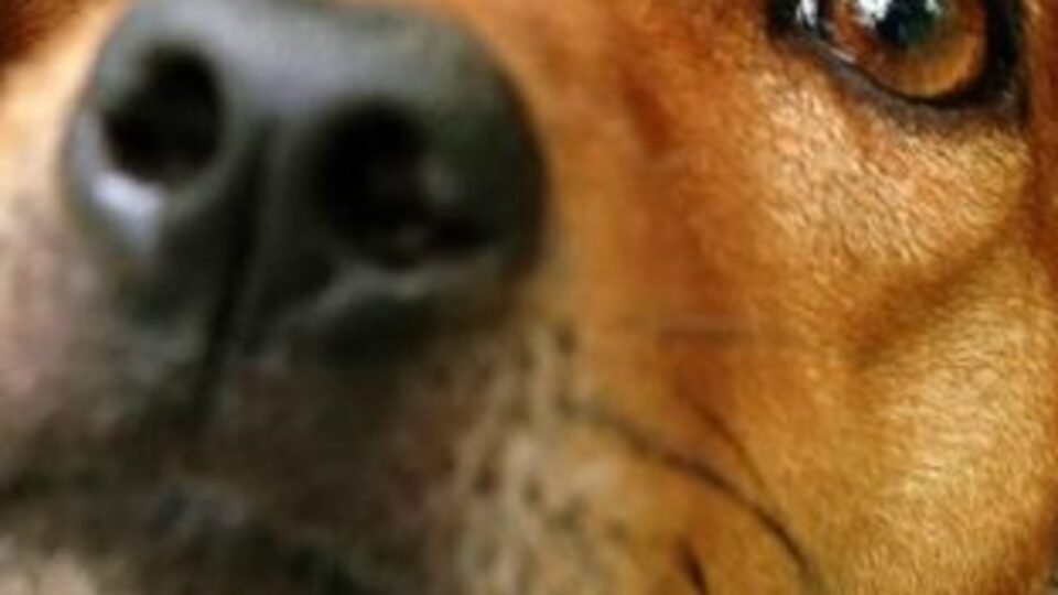 17 Temmuz Hadi ipucu sorusu ve cevabı