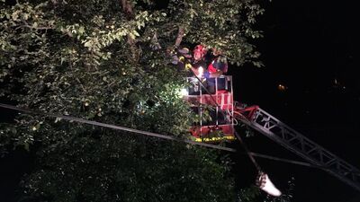 Armut için çıktı, sonu feci oldu!