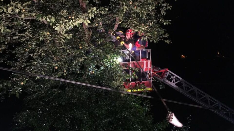 Armut için çıktı, sonu feci oldu!