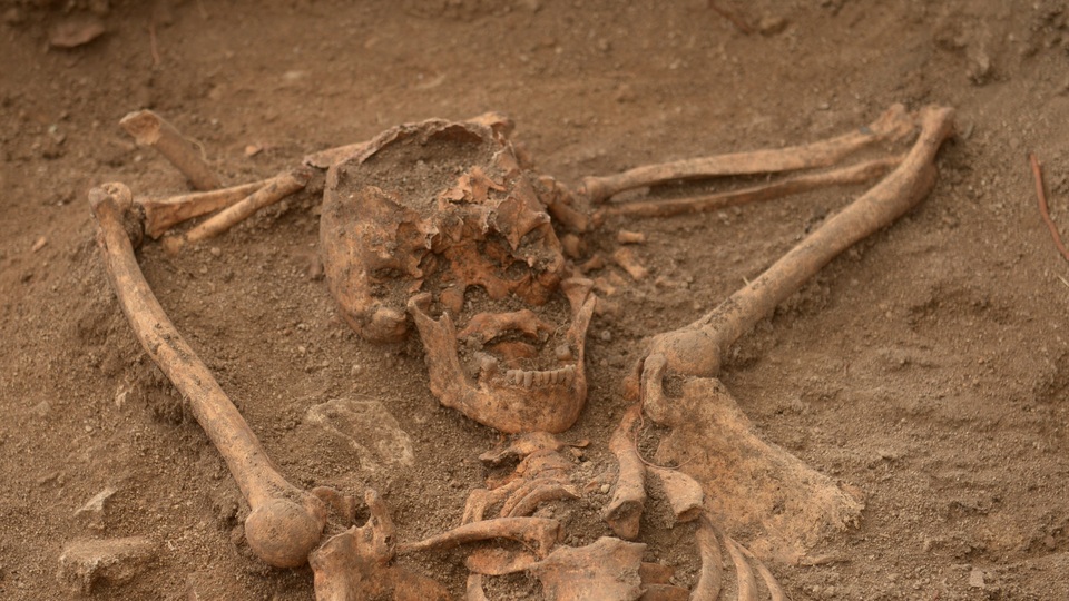 Arkeologlar bile şaşırdı!