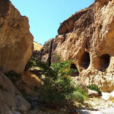 Mantar ararken keşfetti