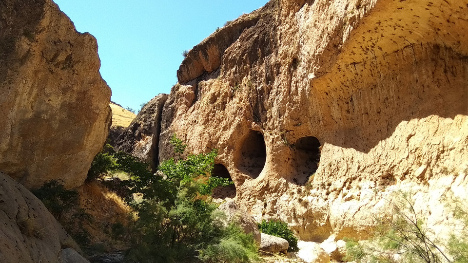 Mantar ararken keşfetti