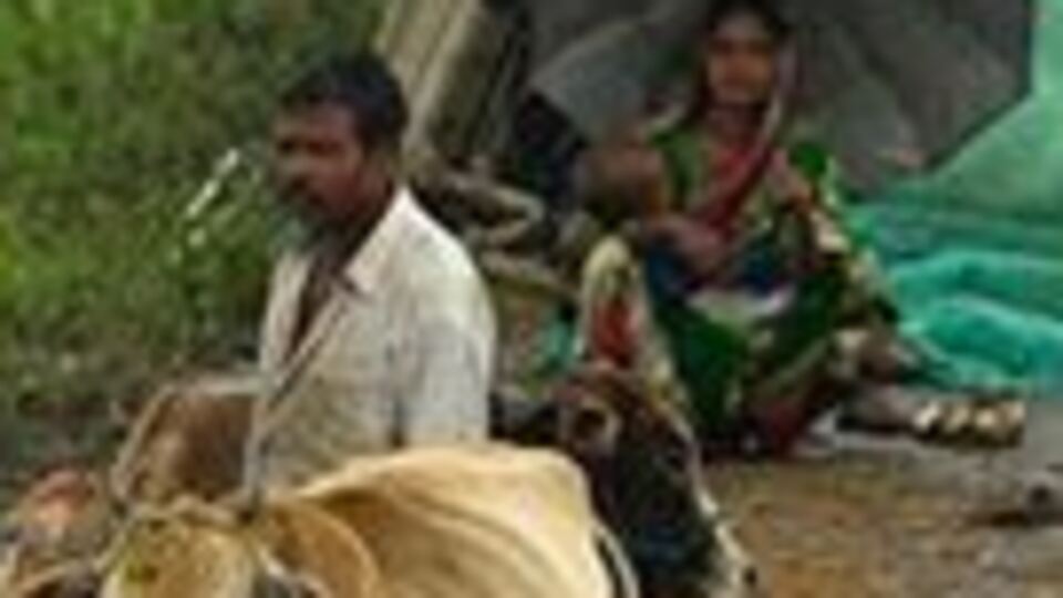 Hindistan'daki selde ölü sayısı 136'ya çıktı