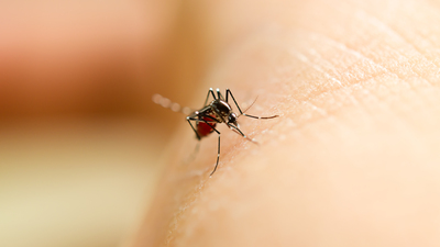 Sağlık Bakanlığı'ndan önemli uyarı