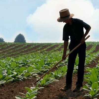 Geri dönüş başladı! Sayı giderek artıyor