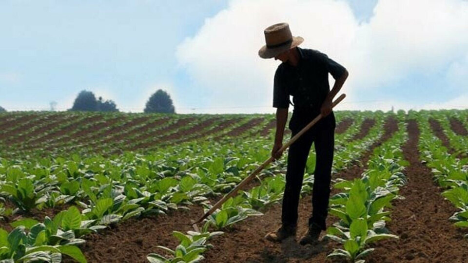 Geri dönüş başladı! Sayı giderek artıyor